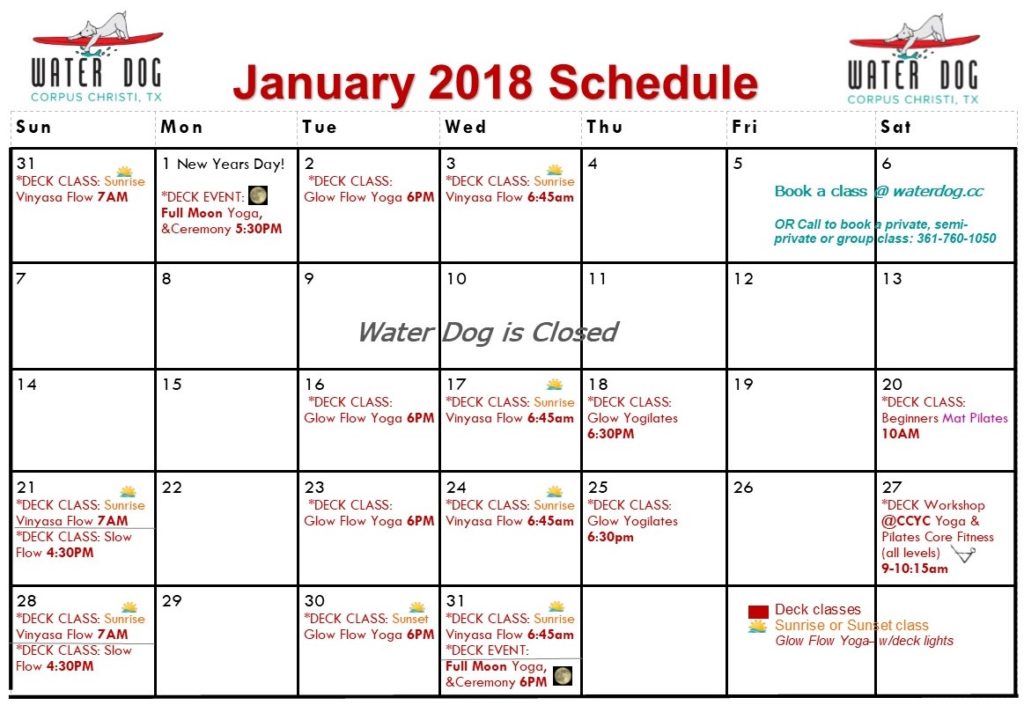 Water Dog Corpus Christi Yoga Schedule