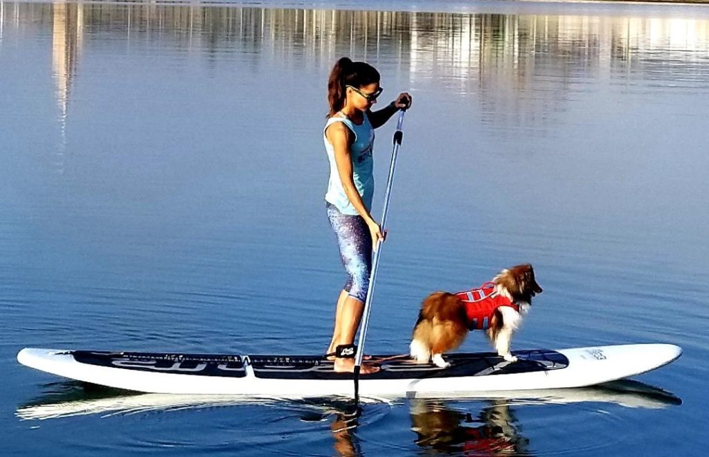 SUP PUP classes at water dog in Corpus Christi
