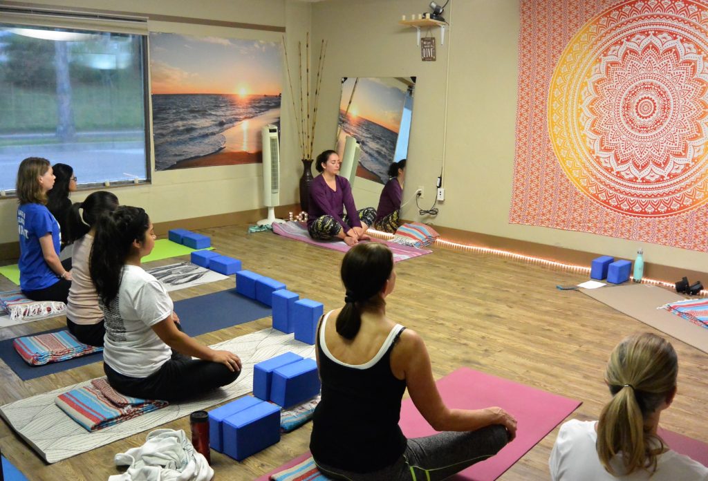 Water Dog indoor yoga