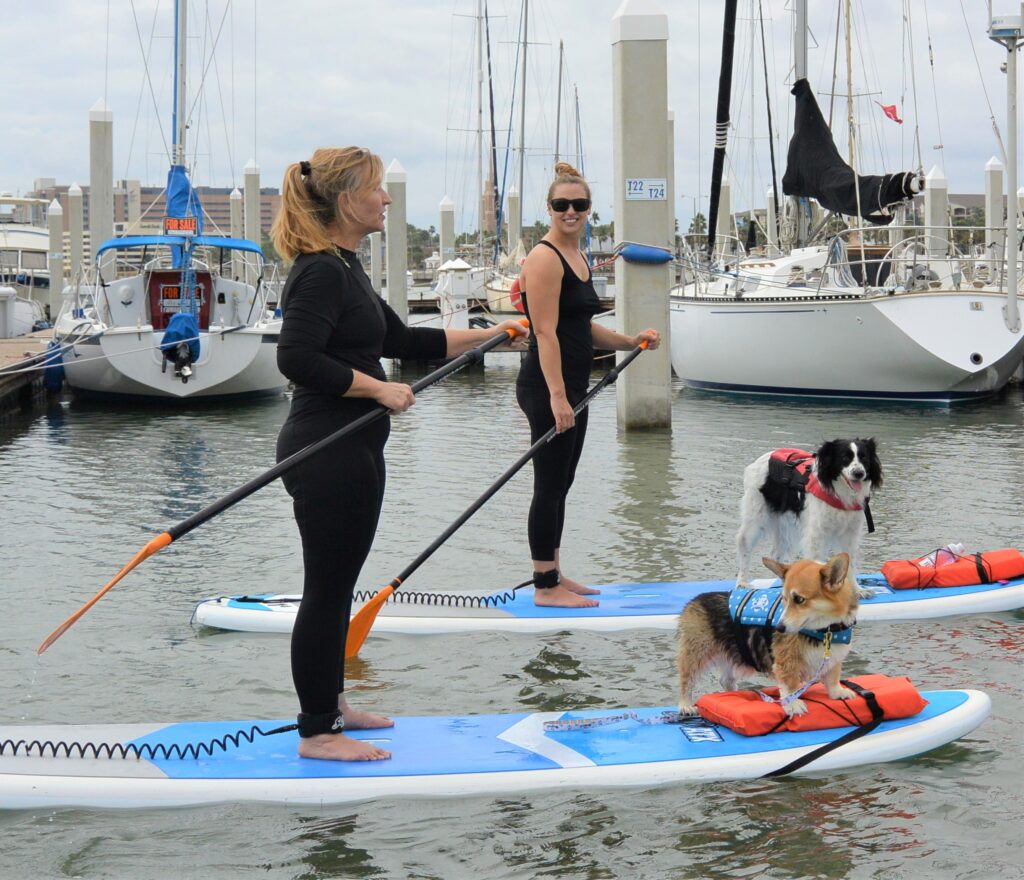 SUP with your Pup at Water Dog