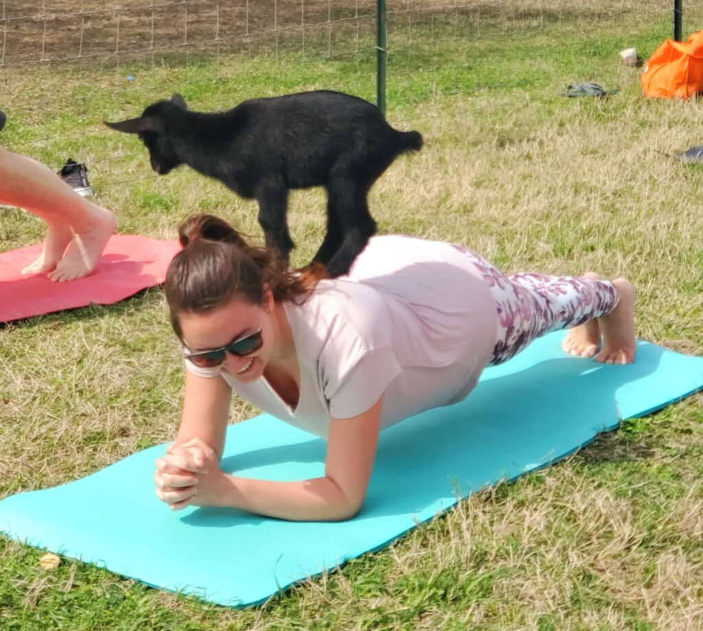 Baby goat yoga