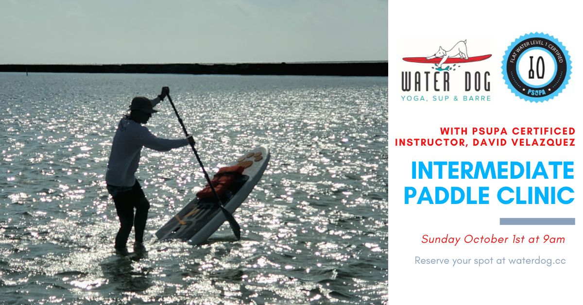 Paddle clinic oct
